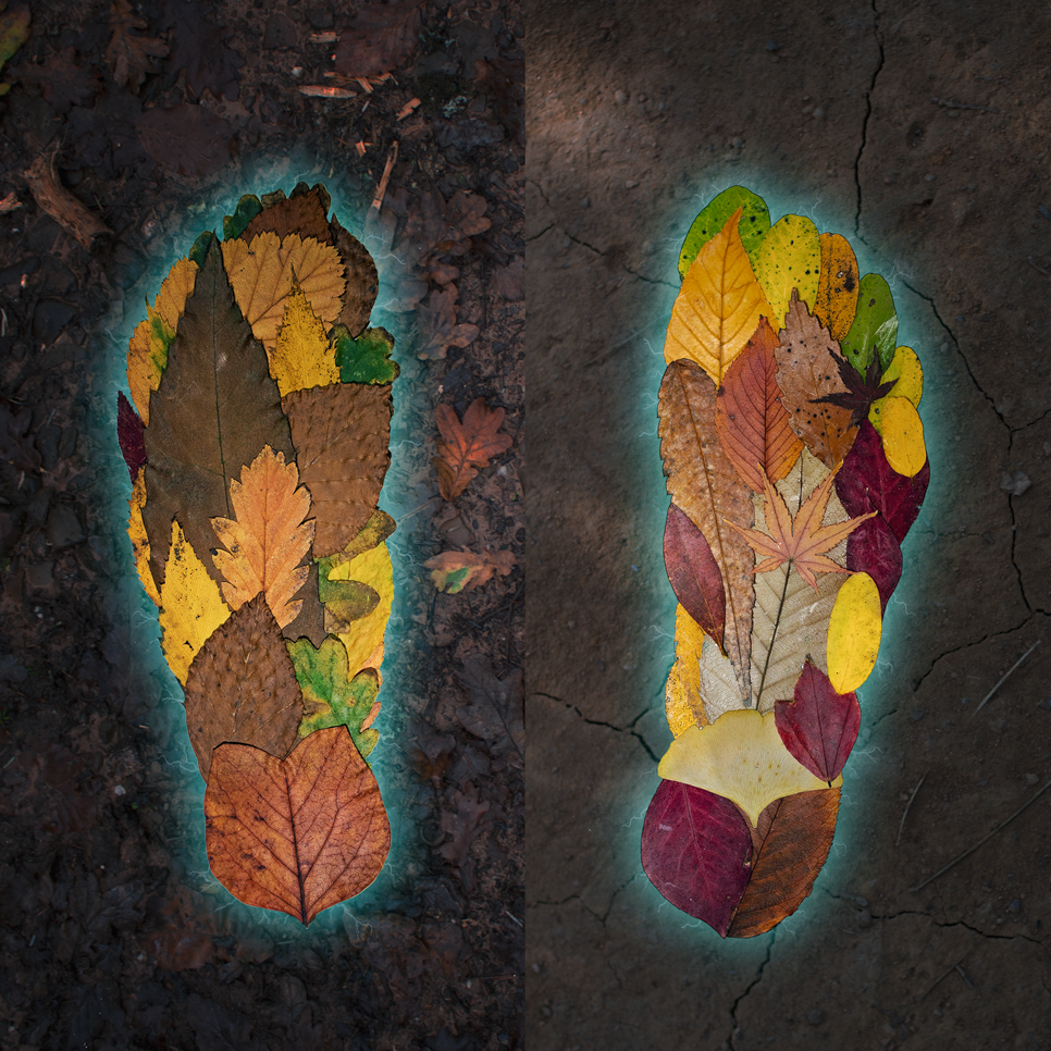 Grounding_cover_art_MAIN_LAYERS_ElectricGlow5_web